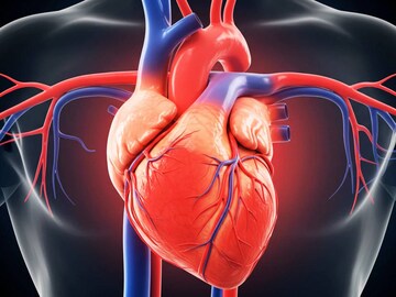 শুধু কোলেস্টেরল নয়! হার্টের বারোটা বাজিয়ে হৃদরোগ ডেকে আনে রোজকার সাদা খাবার! আজই বন্ধ করুন