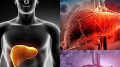 লিভারের রোগ নিরাময়ের জন্য খাদ্যতালিকাগত পরিবর্তনের জন্য একটি সুচিন্তিত এবং ধীর পদ্ধতির প্রয়োজন। ডাঃ আদিত্য শাহ সমস্যা নিয়ন্ত্রণে গোটা শস্য, চর্বিহীন প্রোটিন এবং অ্যান্টিঅক্সিডেন্ট সমৃদ্ধ ফল এবং শাকসবজির উপর মনোযোগ দেওয়ার পরামর্শ দেন। শীতে পার্বণের মরশুমে দেদার ভূরিভোজের মধ্যে লিভার ঠিক রাখার জন্য জানুন তাঁর দরকারি টিপস।