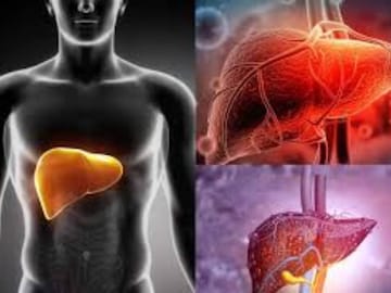 শীতে দেদার ভূরিভোজেও লিভার বিষাক্ত জিনিস মুক্ত! বাদ দিন চিনি, ট্রান্স ফ্যাট...গোল্ডেন রুলস শীতে দেদার ভূরিভোজেও লিভার বিষাক্ত জিনিস মুক্ত! বাদ দিন চিনি, ট্রান্স ফ্যাট...গোল্ডেন রুলস