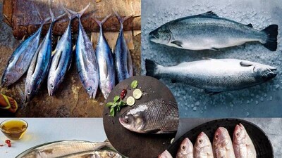 কথায় বলে বাঙালি থাকে মাছে-ভাতে৷ একে নদীমাতৃক বাংলায় মাছ প্রচুর পরিমাণে পাওয়া যায়৷ তার উপর মাছের পুষ্টিগুণ ও উপকারিতা প্রচুর৷ এই দুই কারণে বাঙালির ডায়েটে ভাতের সঙ্গে মাছের আধিপত্য৷