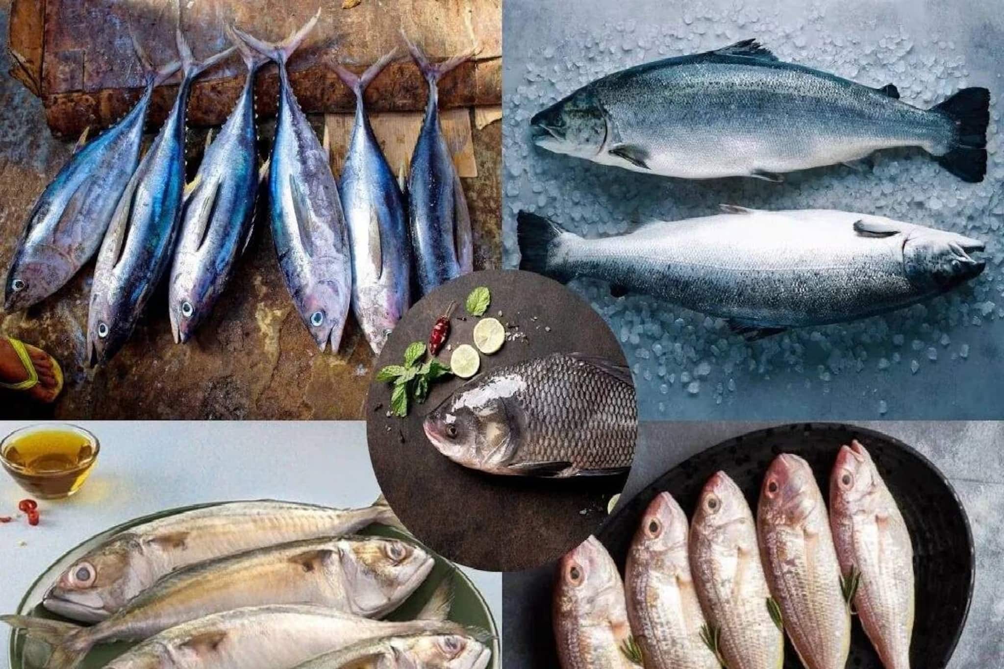 অসাড় জিভ! প্যারালাইজড শরীর! অসহ্য শ্বাসকষ্ট! ফুগু-সহ ২ মাছ খেলেই শরীরে ছড়িয়ে পড়বে বিষ! অসাড় জিভ! প্যারালাইজড শরীর! অসহ্য শ্বাসকষ্ট! ফুগু-সহ ২ মাছ খেলেই শরীরে ছড়িয়ে পড়বে বিষ!