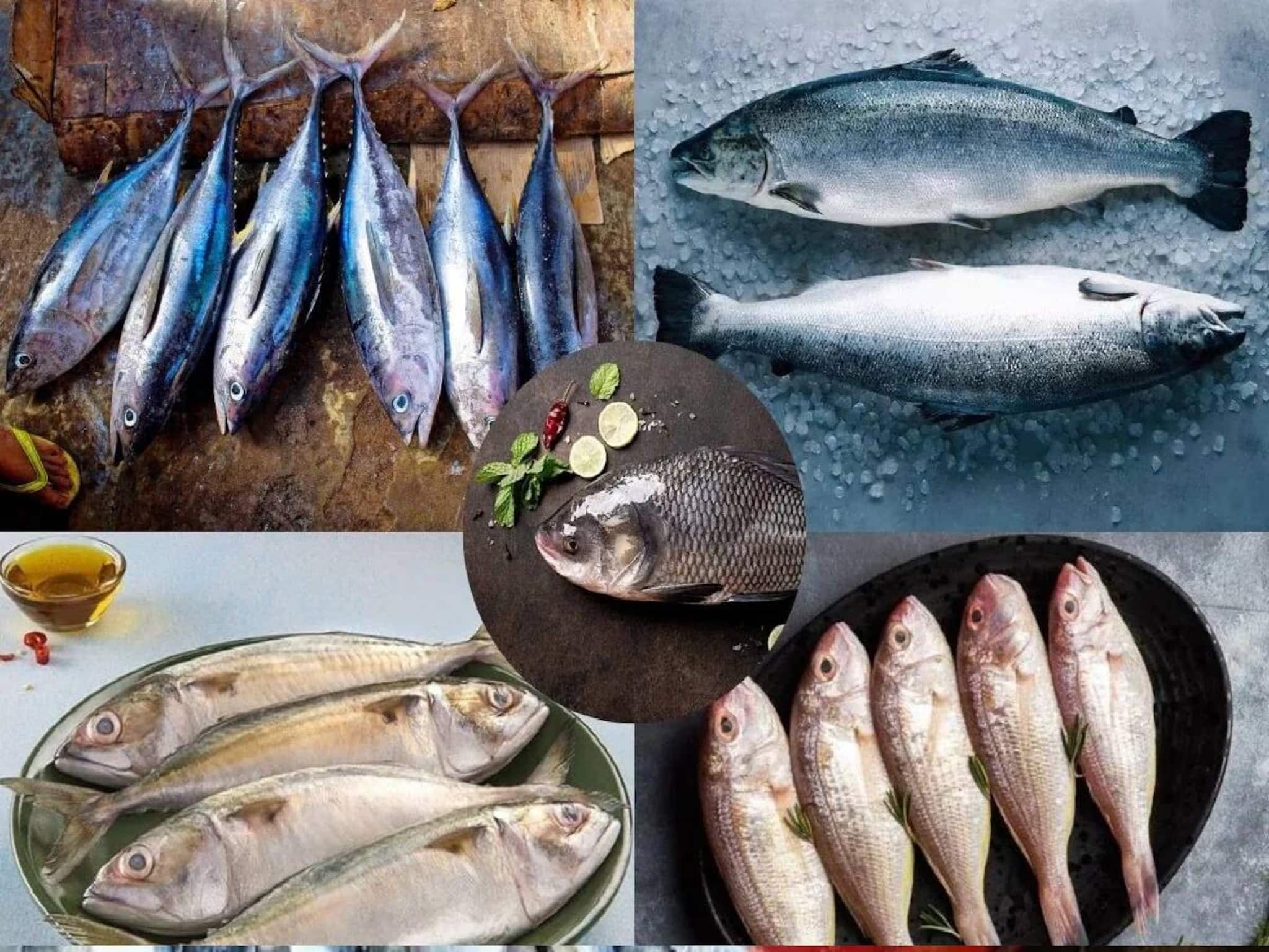 অসাড় জিভ! প্যারালাইজড শরীর! অসহ্য শ্বাসকষ্ট! ফুগু-সহ ২ মাছ খেলেই শরীরে ছড়িয়ে পড়বে বিষ! অসাড় জিভ! প্যারালাইজড শরীর! অসহ্য শ্বাসকষ্ট! ফুগু-সহ ২ মাছ খেলেই শরীরে ছড়িয়ে পড়বে বিষ!