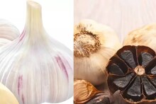 White vs Black Garlic: সাদা ও কালো রসুনের মধ্যে কোনটা উপকারী, কোনটা খেলে চরম ক্ষতি, জানুন! ভুলেও কালো রসুন মুখে দেবেন না বিশেষ রোগে! জানুন বিশদে!