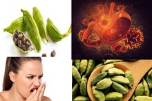 Elaichi Benefits: পেটের আলসারে অব্যর্থ! ১ মুঠো ধন্বন্তরি এলাচেই দূর মুখের পচা গন্ধ! উধাও দাঁতের ক্যাভিটি! শুধু খান এভাবে!