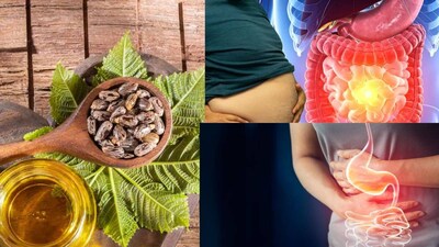 শীতকালকে খাওয়া-দাওয়ার ঋতু হিসেবে বিবেচনা করা হয়। এই ঋতুতে মানুষ পেট ভরে সুস্বাদু খাবার খায়। তবে, তৈলাক্ত খাবার খাওয়ার ফলে প্রায়ই বদহজম, গ্যাস, বদহজম এবং কোষ্ঠকাঠিন্যের মতো সমস্যা দেখা দেয়। এই ধরনের পরিস্থিতিতে ক্যাস্টর অয়েল খুবই সহায়ক হতে পারে।