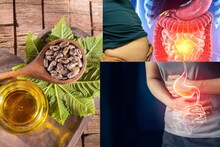 Constipation & Gas Relief: ১ চামচ ক্যাস্টর অয়েল! এখানে ‘মালিশ’ করলেই বার হবে পেটে জমে থাকা গ্যাস! গলগলিয়ে সাফ পেটের নোংরা! নিপাত যাবে পেট ফাঁপা-চোঁয়া ঢেকুর-বদহজম!