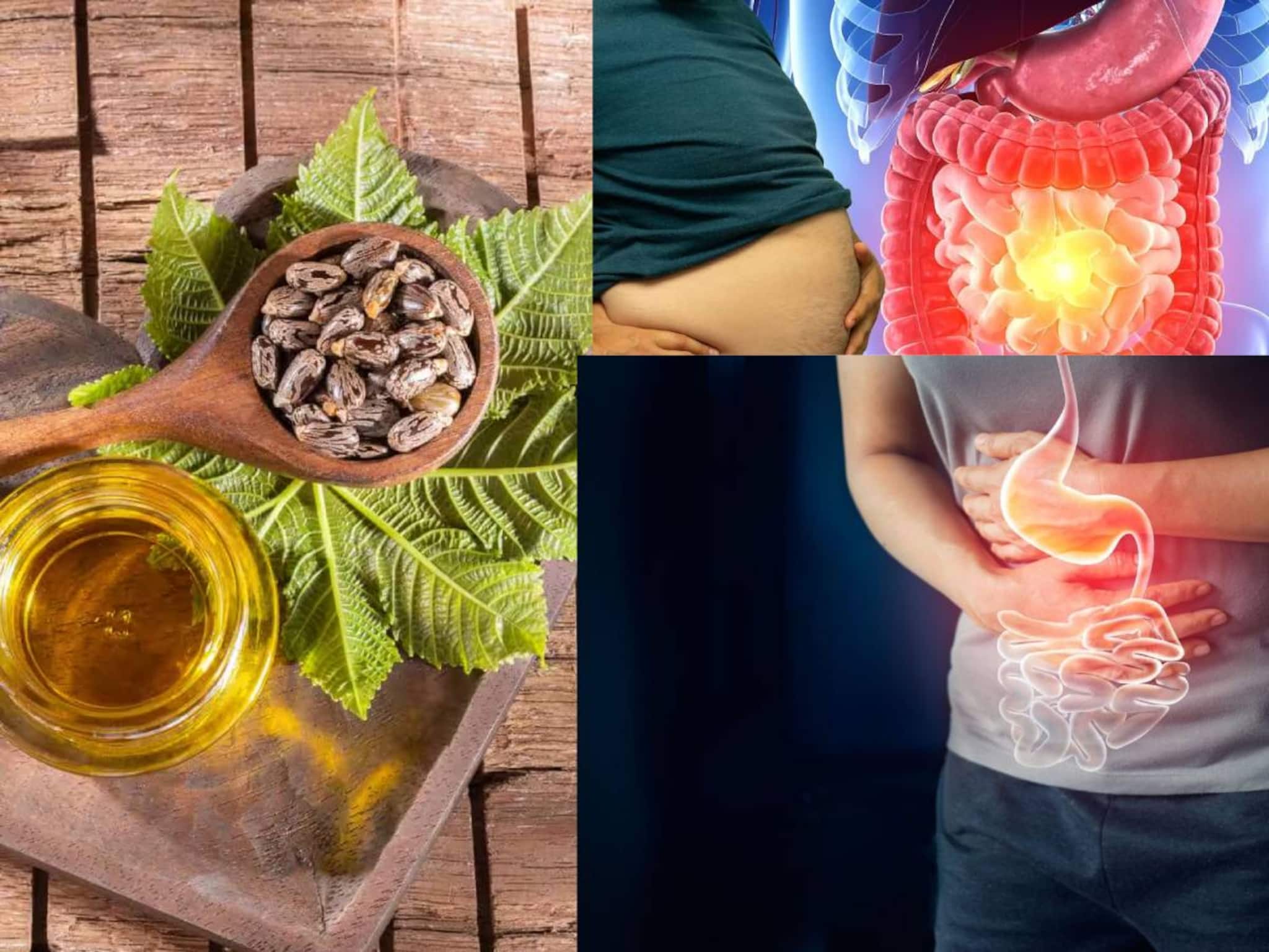 Constipation & Gas Relief: ১ চামচ ক্যাস্টর অয়েল! এখানে ‘মালিশ’ করলেই বার হবে পেটে জমে থাকা গ্যাস! গলগলিয়ে সাফ পেটের নোংরা! নিপাত যাবে পেট ফাঁপা-চোঁয়া ঢেকুর-বদহজম!