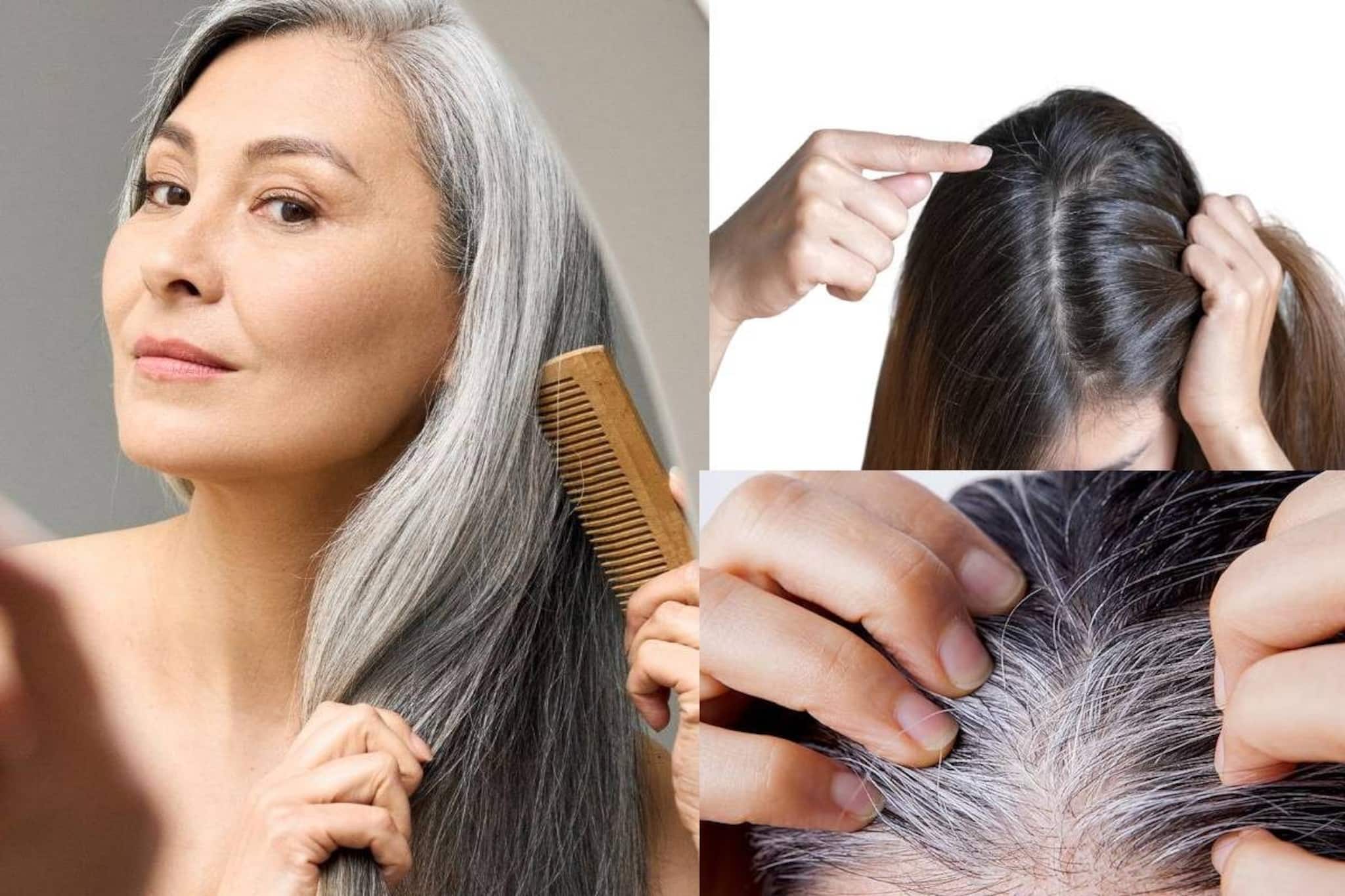 নারকেল, ক্যাস্টর-সহ ৫ তেলের সুপার কামাল! ছোট্ট কাজেই চুল লম্বা হবে তরতরিয়ে! গায়েব সাদা চুল নারকেল, ক্যাস্টর-সহ ৫ তেলের সুপার কামাল! ছোট্ট কাজেই চুল লম্বা হবে তরতরিয়ে! গায়েব সাদা চুল