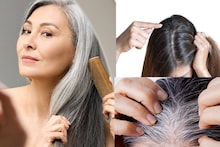 White Hair: নারকেল, ক্যাস্টর-সহ ৫ তেলের সুপার কামাল! ছোট্ট কাজেই চুল লম্বা হবে তরতরিয়ে! খুঁজে পাবেন না সাদা চুল!