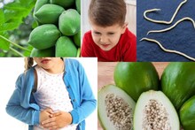 Tape Worm Control Tips: কৃমি কমাতে বাচ্চাকে দেদার কাঁচা পেঁপে খাওয়ালে অজান্তেই ডাকছেন বড় বিপদ! ক্ষতির ফাঁদ এড়িয়ে চলুন!