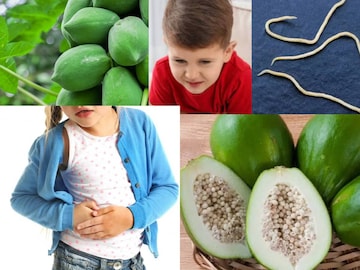 কৃমি কমাতে বাচ্চাকে কাঁচা পেঁপে খাওয়ালে অজান্তেই ডাকছেন বড় বিপদ! ক্ষতির ফাঁদ এড়িয়ে চলুন কৃমি কমাতে বাচ্চাকে কাঁচা পেঁপে খাওয়ালে অজান্তেই ডাকছেন বড় বিপদ! ক্ষতির ফাঁদ এড়িয়ে চলুন