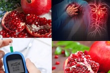 Pomegranate in Heart Diseases: বিশেষ সময়ে এভাবে বেদানা খেলেই কেল্লা ফতে! অ্যানিমিয়া, হার্ট অ্যাটাকের যম! কিন্তু ব্লাড সুগারে খেলে...জানুন পরিণতি