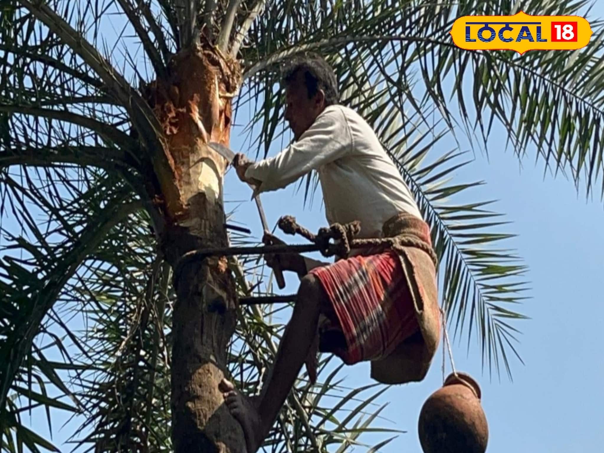 Nolen Gur: সব গুড় ফেল! সুস্বাদু জিরেন কাঠের গুড় খেয়েছেন, একবার খেলেই বারবার চাইবেন