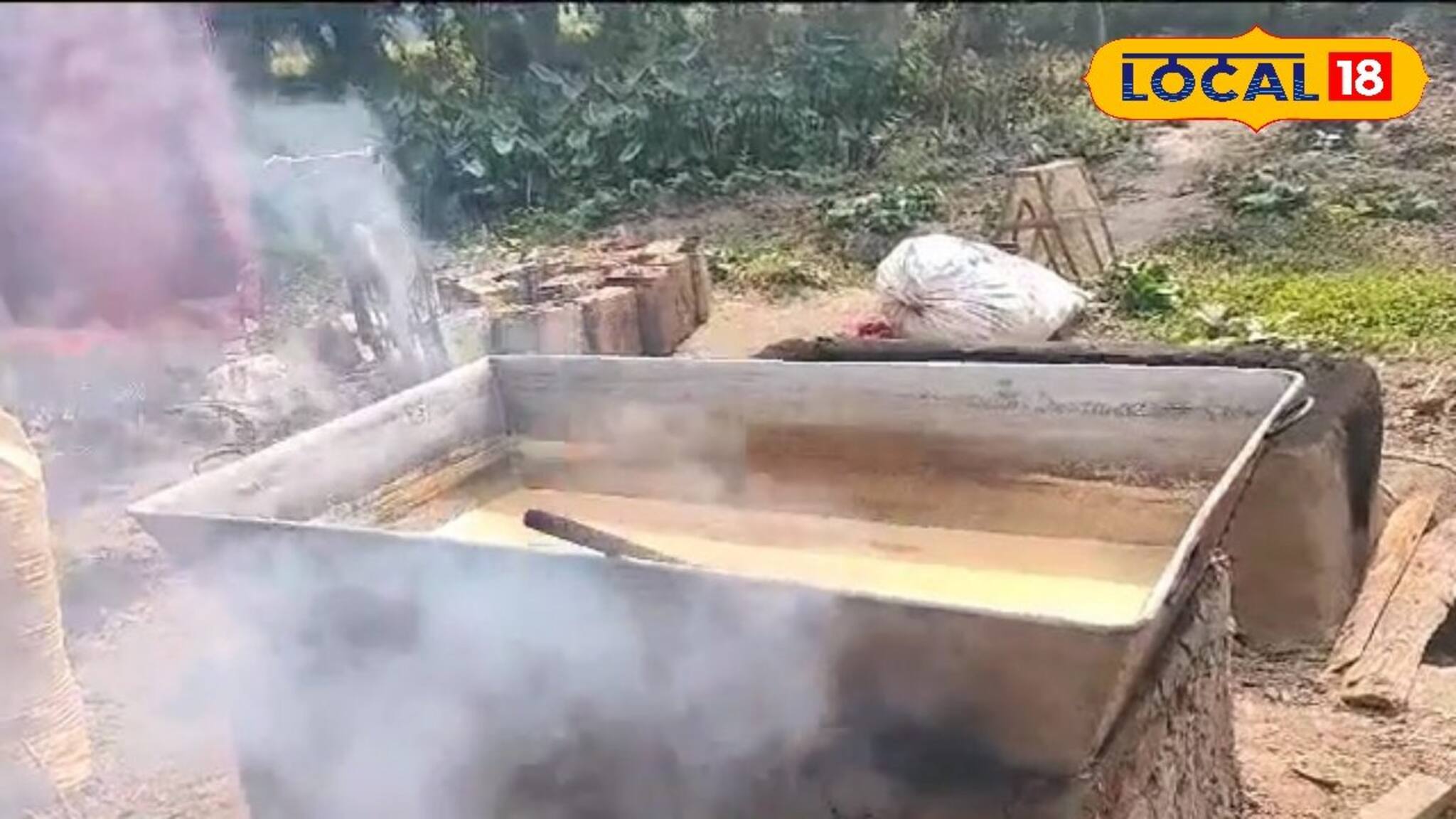 অনিশ্চয়তার মুখে নলেন গুড়! খেজুর গাছে উঠতে আতঙ্ক শিউলিদের, ঝাঁকে ঝাঁকে তেড়ে আসছে ভিমরুল