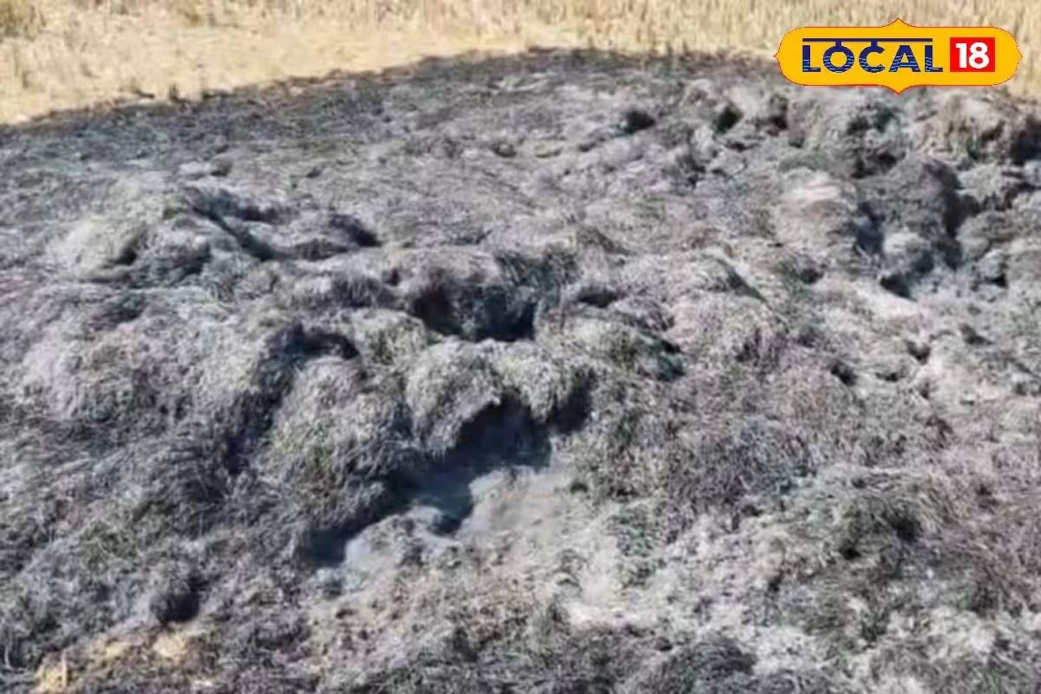 ধানের স্তূপে বিধ্বংসী আগুন! চক্রান্ত করে এক বিঘা জমির ফসল পুড়িয়ে দেওয়ার অভিযোগ ধানের স্তূপে বিধ্বংসী আগুন! চক্রান্ত করে এক বিঘা জমির ফসল পুড়িয়ে দেওয়ার অভিযোগ