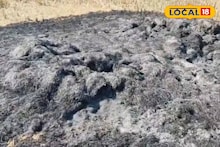 North 24 Parganas News: ধানের স্তূপে বিধ্বংসী আগুন! চক্রান্ত করে এক বিঘা জমির ফসল পুড়িয়ে দেওয়ার অভিযোগ, সরকারি সাহায্যের আর্জি সর্বহারা কৃষকের