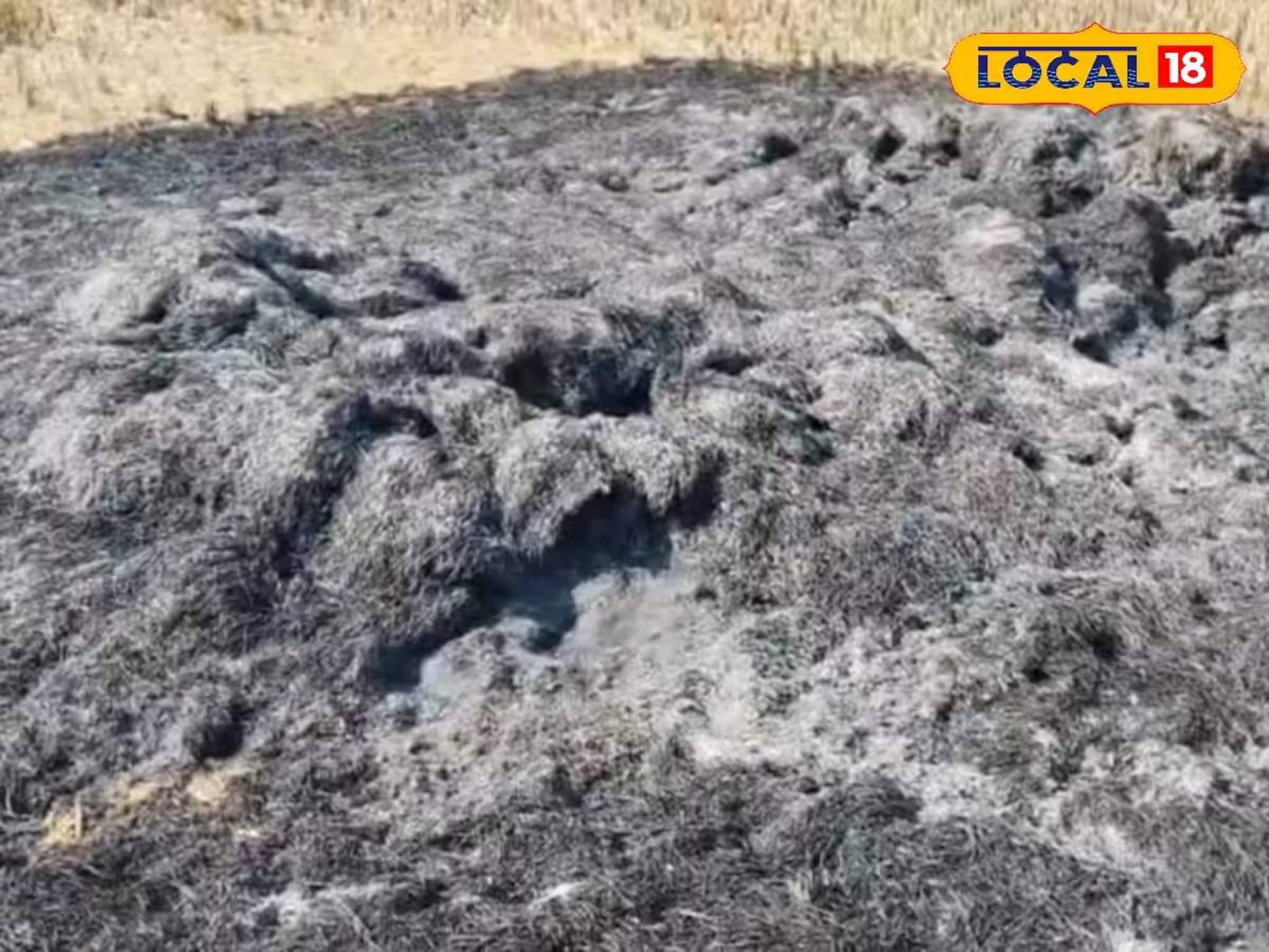 ধানের স্তূপে বিধ্বংসী আগুন! চক্রান্ত করে এক বিঘা জমির ফসল পুড়িয়ে দেওয়ার অভিযোগ ধানের স্তূপে বিধ্বংসী আগুন! চক্রান্ত করে এক বিঘা জমির ফসল পুড়িয়ে দেওয়ার অভিযোগ