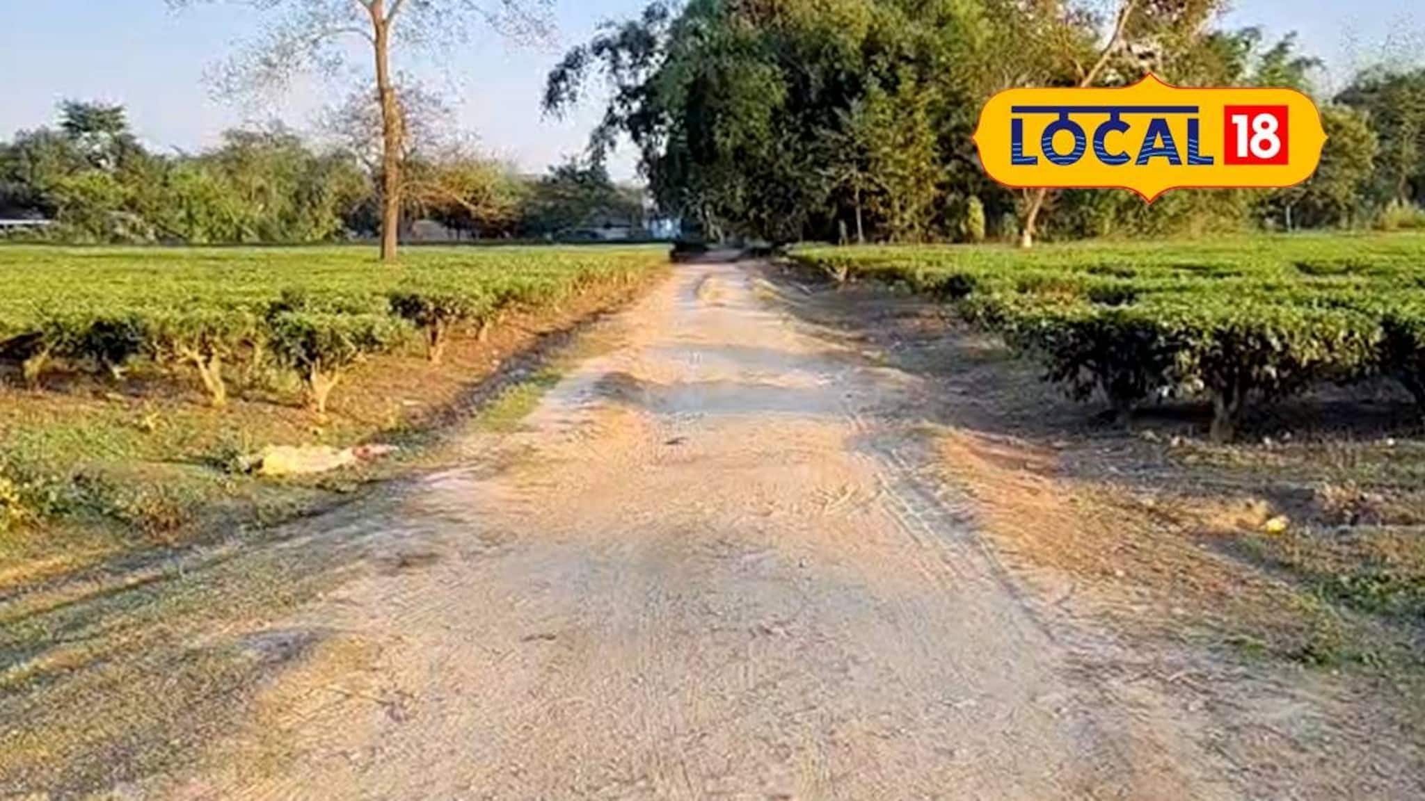 North Dinajpur News: মন্ত্রীকে জানাতেই মুশকিল আসান! স্বাধীনতার পর প্রথম পাকা রাস্তা পেল উত্তর দিনাজপুরের গ্রাম, আহ্লাদে আটখানা বাসিন্দারা