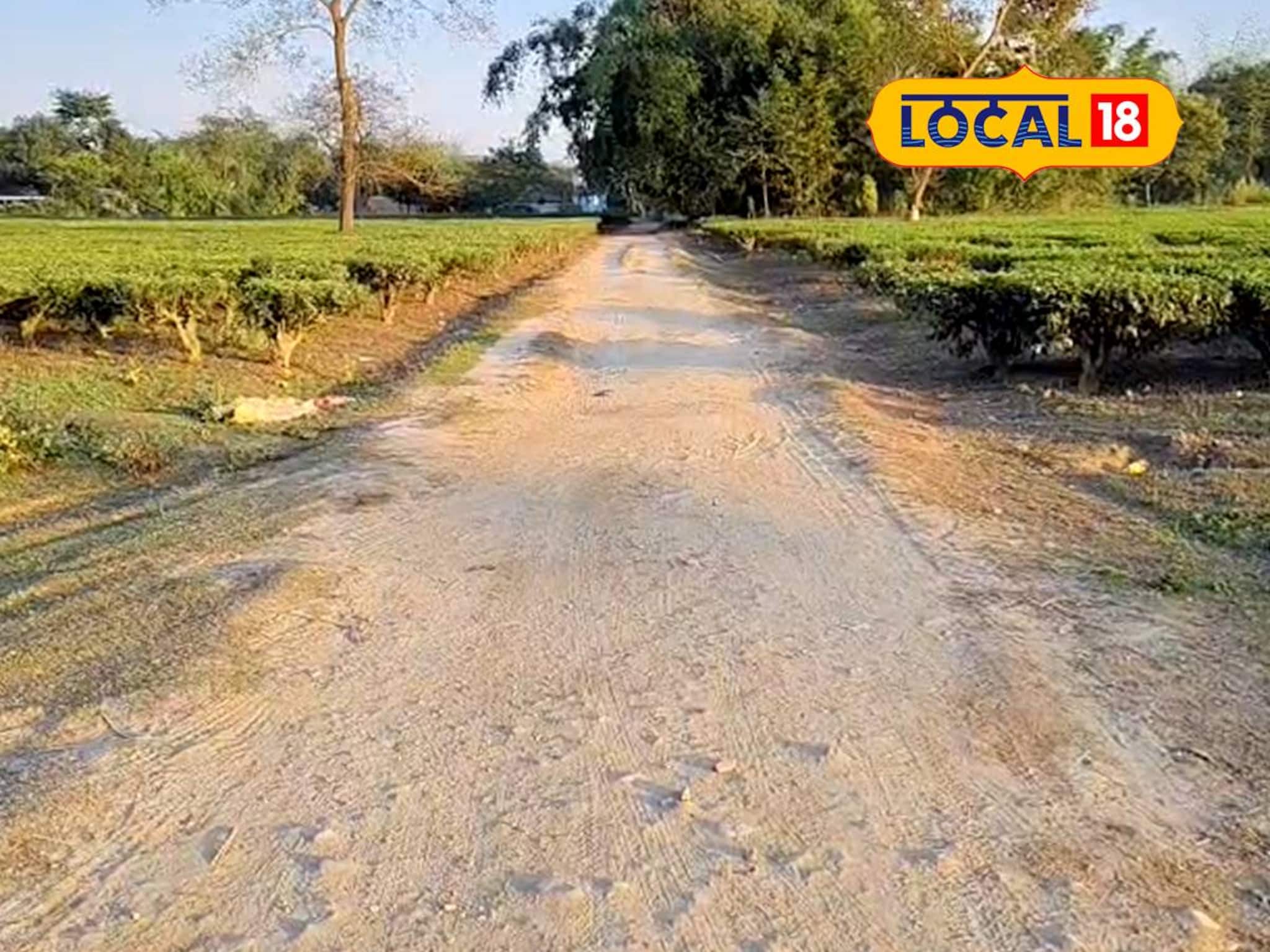 মন্ত্রীকে জানাতেই মুশকিল আসান! স্বাধীনতার পর প্রথম পাকা রাস্তা পেল উত্তর দিনাজপুরের গ্রাম মন্ত্রীকে জানাতেই মুশকিল আসান! স্বাধীনতার পর প্রথম পাকা রাস্তা পেল উত্তর দিনাজপুরের গ্রাম