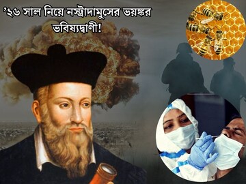 ৯/১১ হামলা, কোভিড ১৯...সব মিলে গিয়েছে! ’২৬ সাল নিয়ে কী ভবিষ্যদ্বাণী করেন নস্ট্রাদামুস