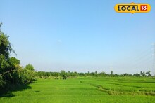 East Medinipur News: দু-চার বিঘা নয়, ৮০ বিঘা খাস জমির পাট্টা নিয়ে কৃষক বিরোধ! কয়েক দশকের বিবাদ মেটাতে আসরে প্রশাসন