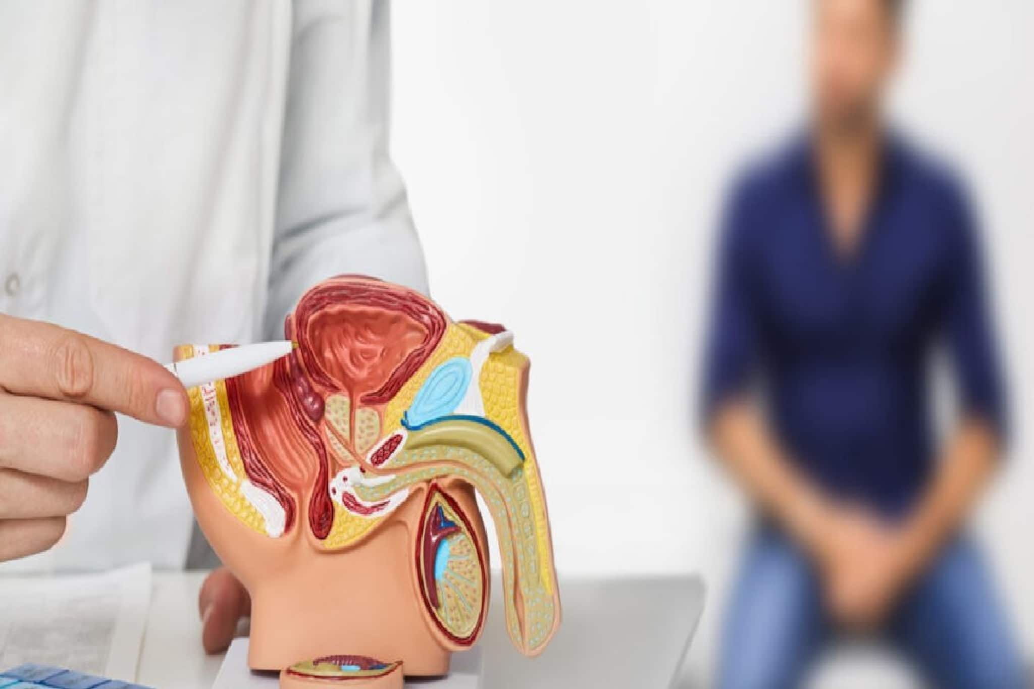 প্রস্টেট ক্যানসারের লক্ষণ 'এটি'ও! শরীরে সামান্য পরিবর্তনও আশঙ্কার ইঙ্গিত! ডাক্তার দেখান প্রস্টেট ক্যানসারের লক্ষণ 'এটি'ও! শরীরে সামান্য পরিবর্তনও আশঙ্কার ইঙ্গিত! ডাক্তার দেখান