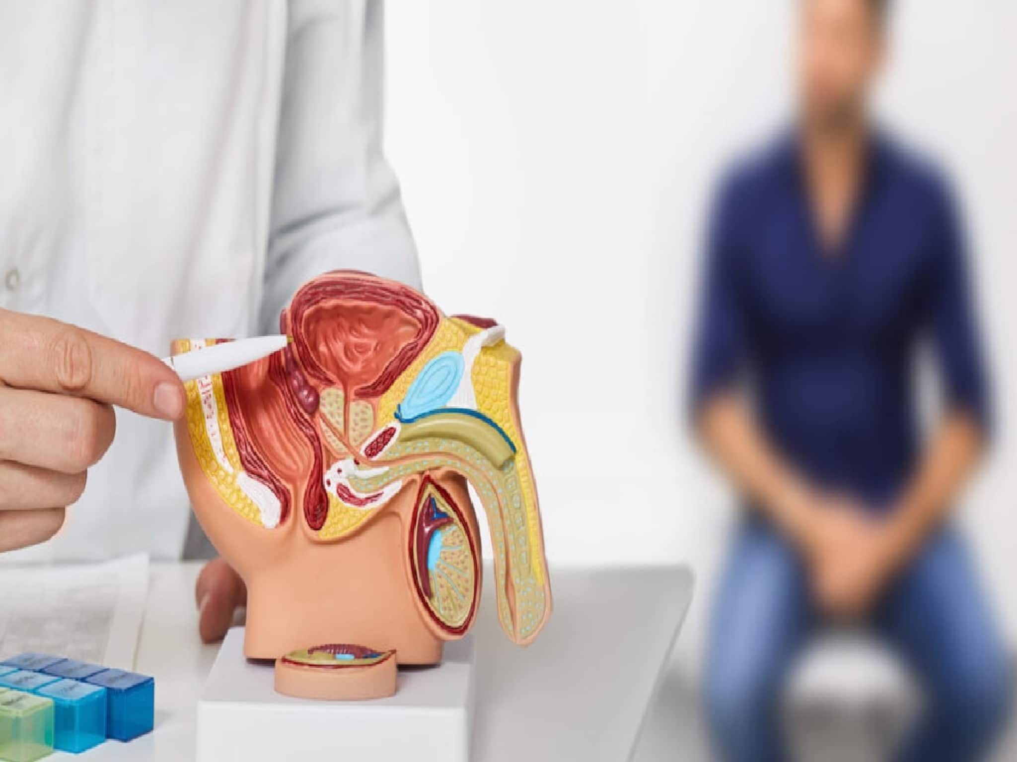 প্রস্টেট ক্যানসারের লক্ষণ 'এটি'ও! শরীরে সামান্য পরিবর্তনও আশঙ্কার ইঙ্গিত! ডাক্তার দেখান প্রস্টেট ক্যানসারের লক্ষণ 'এটি'ও! শরীরে সামান্য পরিবর্তনও আশঙ্কার ইঙ্গিত! ডাক্তার দেখান