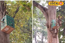 Purulia News: পুরুলিয়া পর্যটনে নতুন সংযোজন! গাছে গাছে পরিবেশবান্ধব বাসা, পরিযায়ী পাখিদের জন্য বন দফতরের অভিনব প্রয়াস