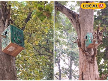 পাখিদের