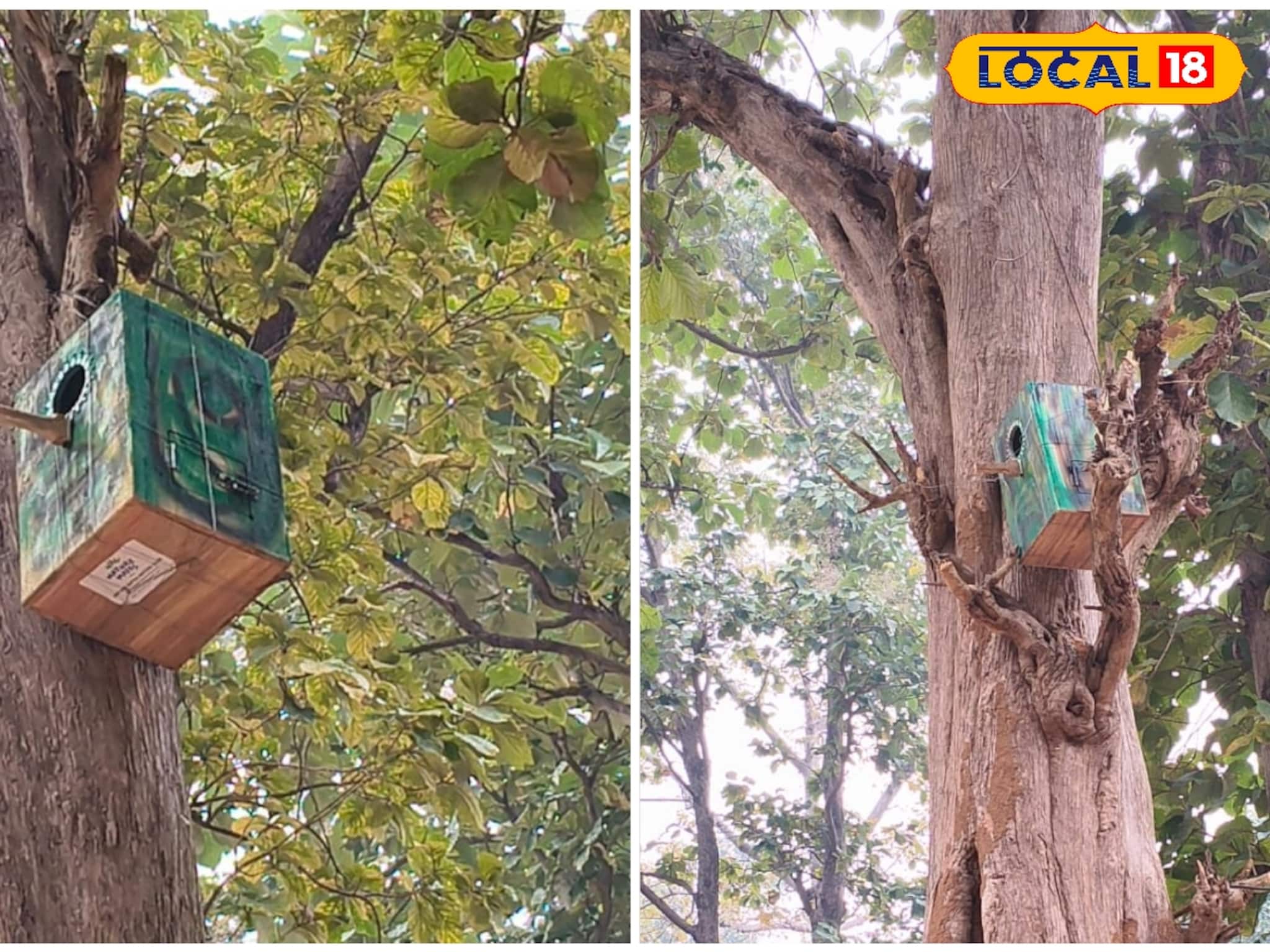 Purulia News: পুরুলিয়া পর্যটনে নতুন সংযোজন! গাছে গাছে পরিবেশবান্ধব বাসা, পরিযায়ী পাখিদের জন্য বন দফতরের অভিনব প্রয়াস