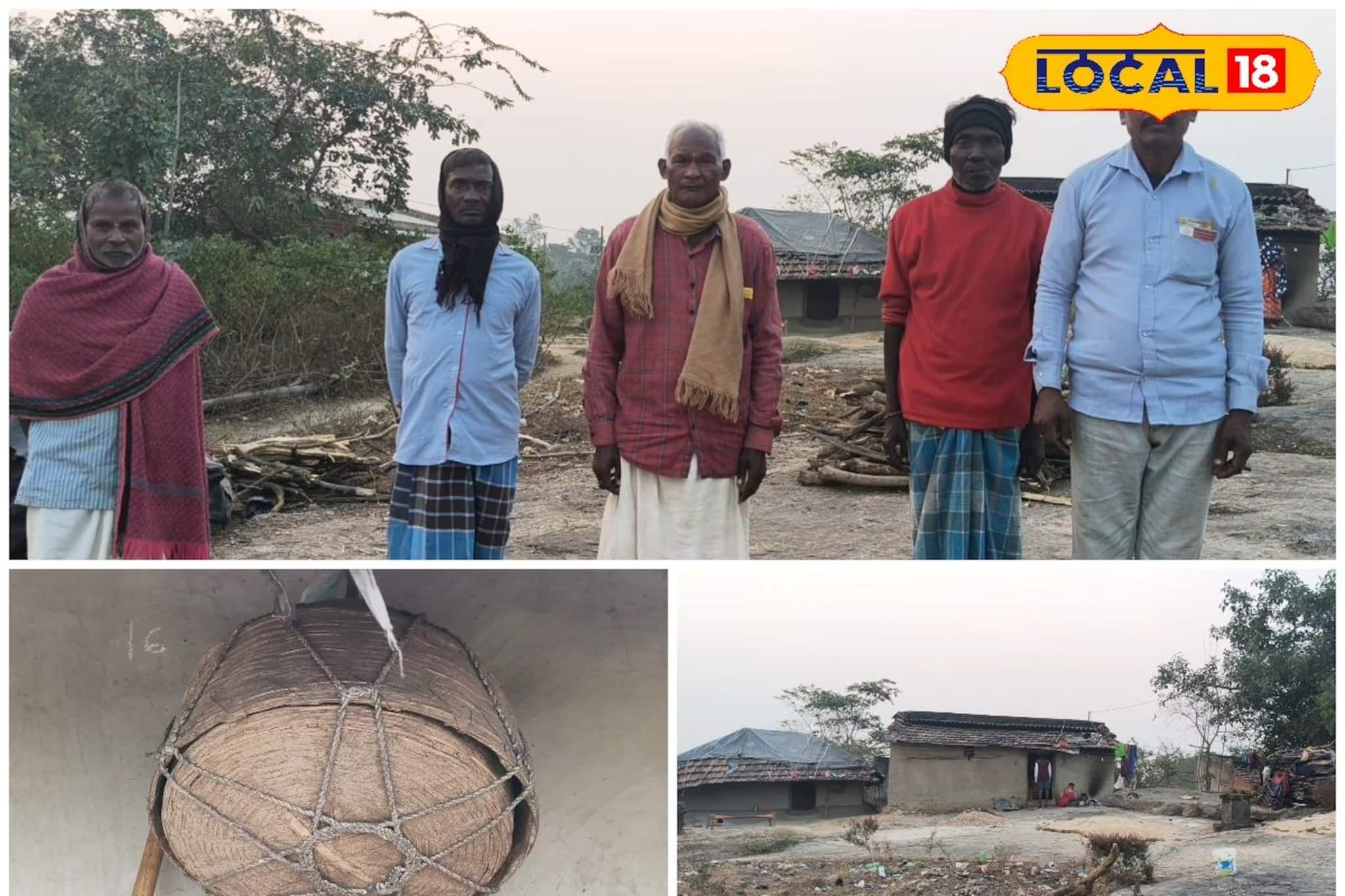 সচেতনতার পথে সাপুড়েরা, বংশপরম্পরার সাপ খেলা ছেড়ে ভিক্ষাবৃত্তি!