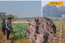 Agriculture News: সীমান্তবর্তী এলাকার চাষের জমিতে বুনো হাতির হানা! তছনছ করে দিচ্ছে কৃষকদের খাটনির ফসল, চরম আতঙ্কে এলাকাবাসী