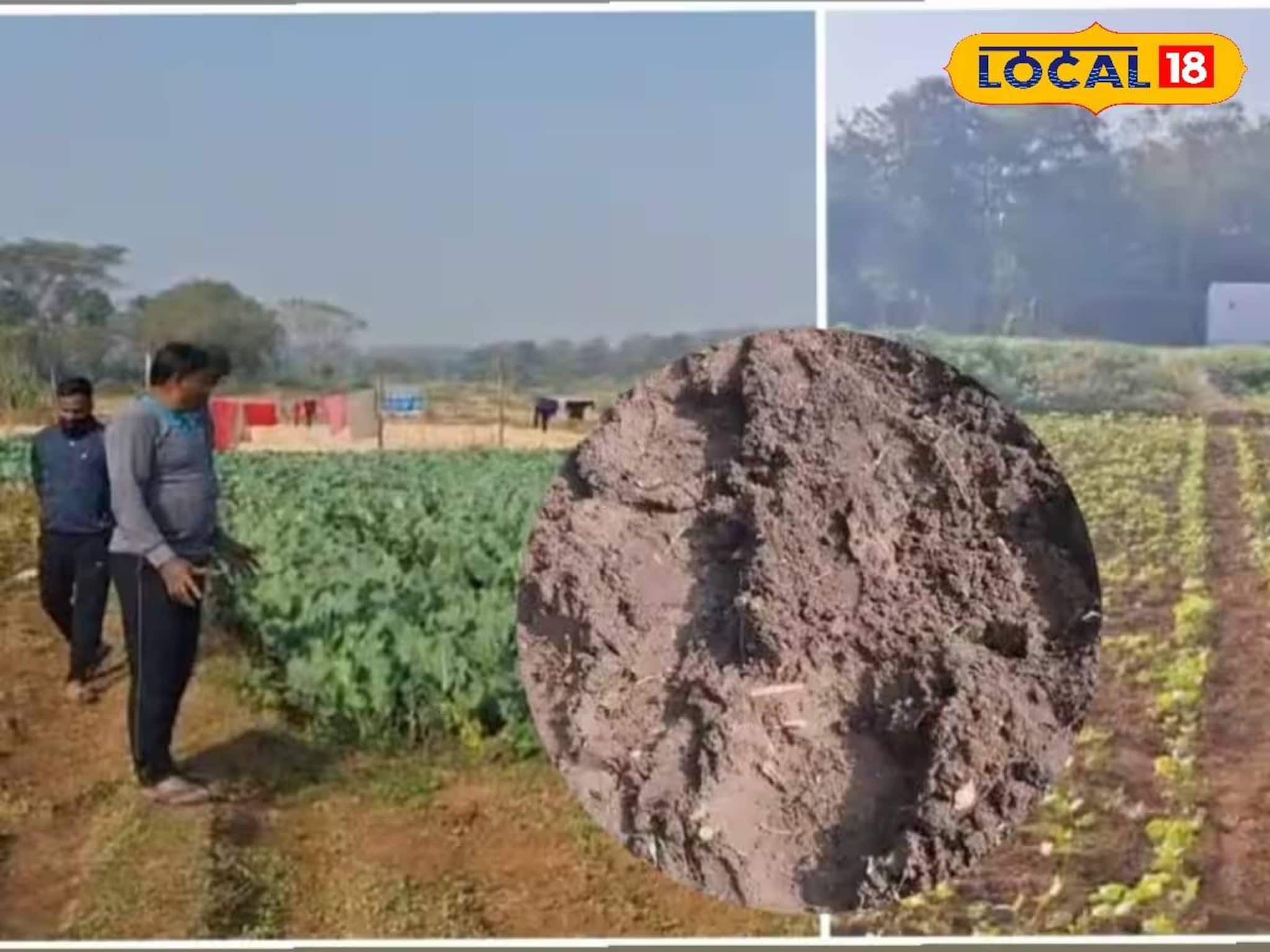 সীমান্তবর্তী এলাকার চাষের জমিতে বুনো হাতির হানা! তছনছ করে দিচ্ছে কৃষকদের খাটনির ফসল সীমান্তবর্তী এলাকার চাষের জমিতে বুনো হাতির হানা! তছনছ করে দিচ্ছে কৃষকদের খাটনির ফসল