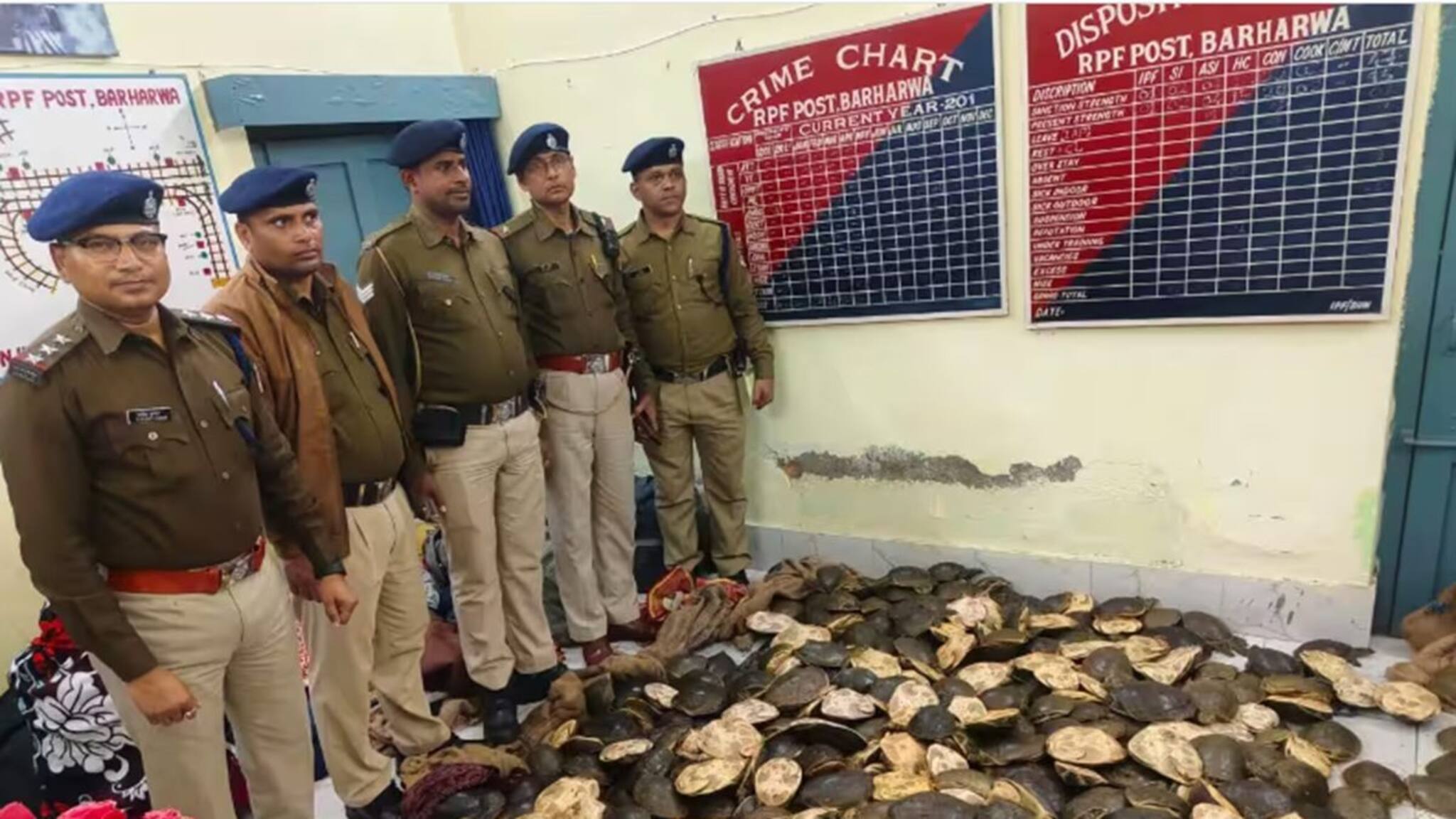 RPF: সন্দেহ হতেই ব্যাগ খোলাল আরপিএফ, উদ্ধার শয়ে শয়ে কচ্ছপ! গ্রেফতার একাধিক