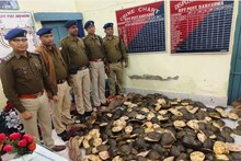 RPF: সন্দেহ হতেই ব্যাগ খোলাল আরপিএফ, উদ্ধার শয়ে শয়ে কচ্ছপ! গ্রেফতার একাধিক