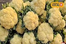 Vegetable Price Hike: শীতের মরশুমেও ফুলকপি, বাঁধাপকির দামে আগুন, কেন বাড়ছে সবজির দাম? দেখুন