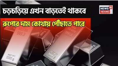 Silver Skyrockets: Experts See ₹2.5 Lakh/kg by 2026, Advise Caution