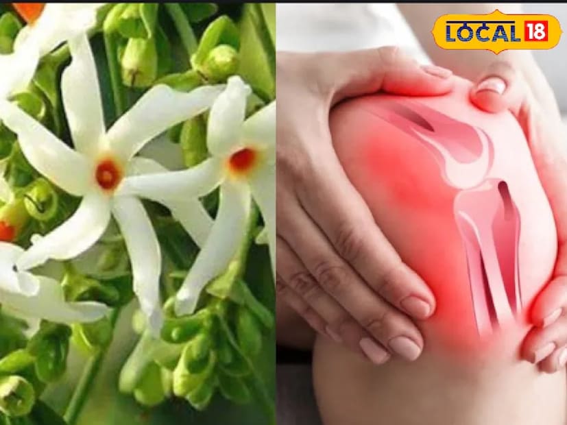 এই ক্বাথ হাঁটুতে ফোলাভাব কমায় আর চলাফেরার সময় যে ব্যথা হয় সেটা গোড়া থেকে দূর করে দেয়। এটা পুরনো জয়েন্ট পেনের জন্য রামবাণ। এটা খেলে বয়সজনিত হাঁটুর দুর্বলতা আর শরীরে ইউরিক অ্যাসিডের সমস্যা কমে যায়। আগে যখন প্রচলিত ওষুধ ছিল না, তখন এই ধরনের ঔষধি ব্যবহার করে মানুষ তাদের ব্যথা গোড়া থেকে দূর করত। এটা একেবারে ঔষধি গুণে ভরা, খেলে কোনও সাইড এফেক্ট হয় না, কোনও ক্ষতিও হয় না।