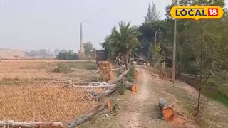 গাছ কেটে ফেলে রাখা হয়েছে গাছ কেটে ফেলে রাখা হয়েছে