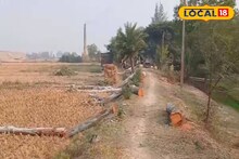 South 24 Parganas News: রাস্তার কাজের জন্য একের পর এক গাছে কোপ! জয়নগরে বৃক্ষনিধন নিয়ে রাজনৈতিক তরজা, ক্ষুব্ধ স্থানীয়রাও