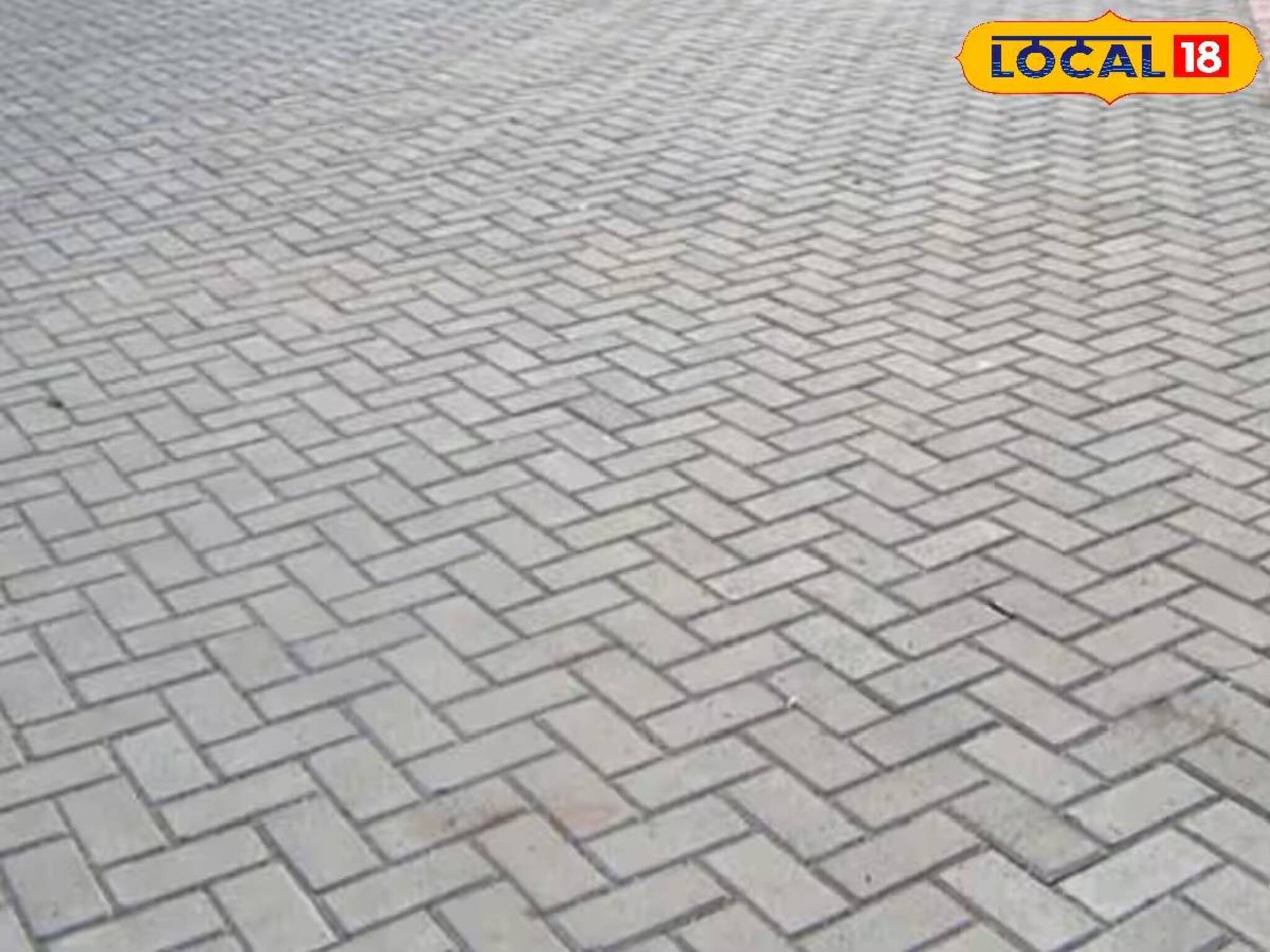 জয়নগরবাসীর দুর্ভোগের দিন শেষ! নববর্ষের আগে বিধায়কের 'উপহার' পেভার ব্লকের রাস্তা