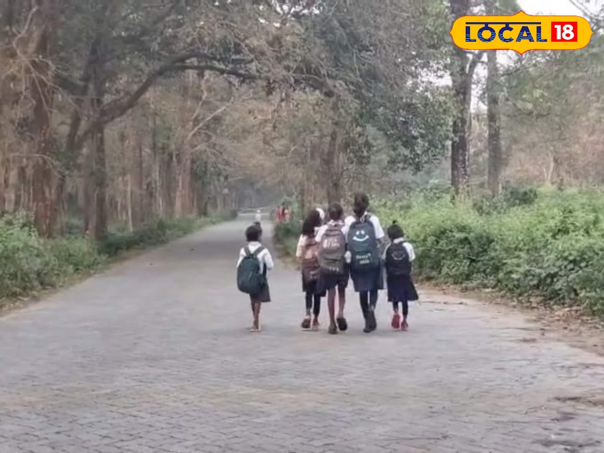 Alipurduar News: চিলাপাতা জঙ্গলের রাস্তায় আতঙ্ক! এই বুঝি বেরিয়ে এল...! স্কুলে যেতে ভয় পড়ুয়াদের, দলবেঁধে যাতায়াত