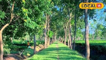 উত্তরবঙ্গে