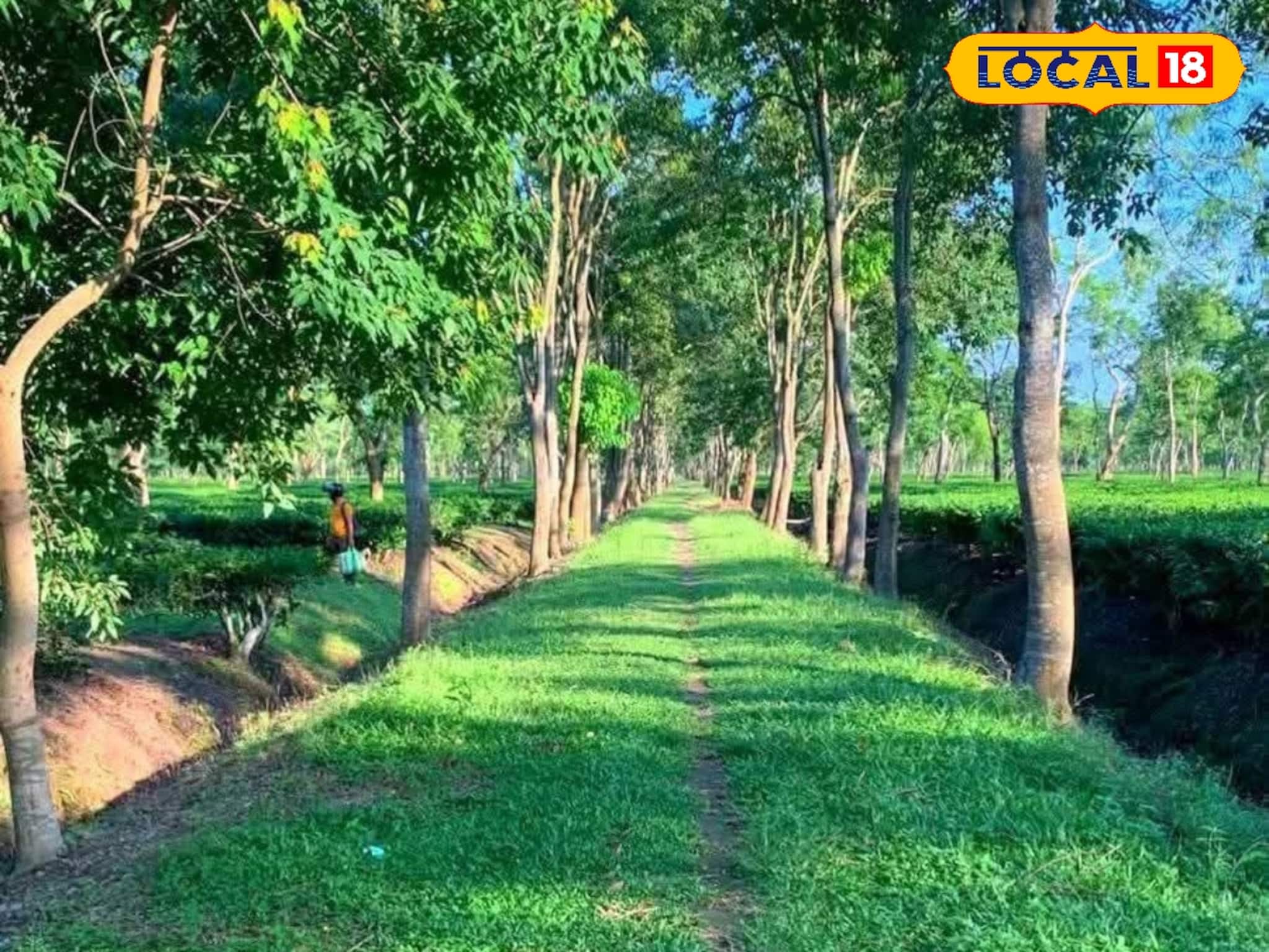 উত্তরবঙ্গের প্রথম নিরাপত্তা বেষ্টনী! লেপার্ড ঠেকাতে সুন্দরবনের মডেলে নাইলন ফেন্সিং