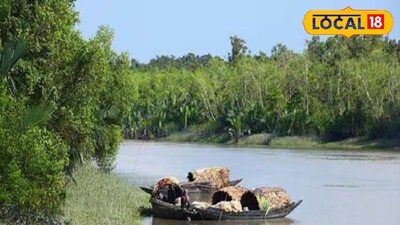 সুন্দরবন 