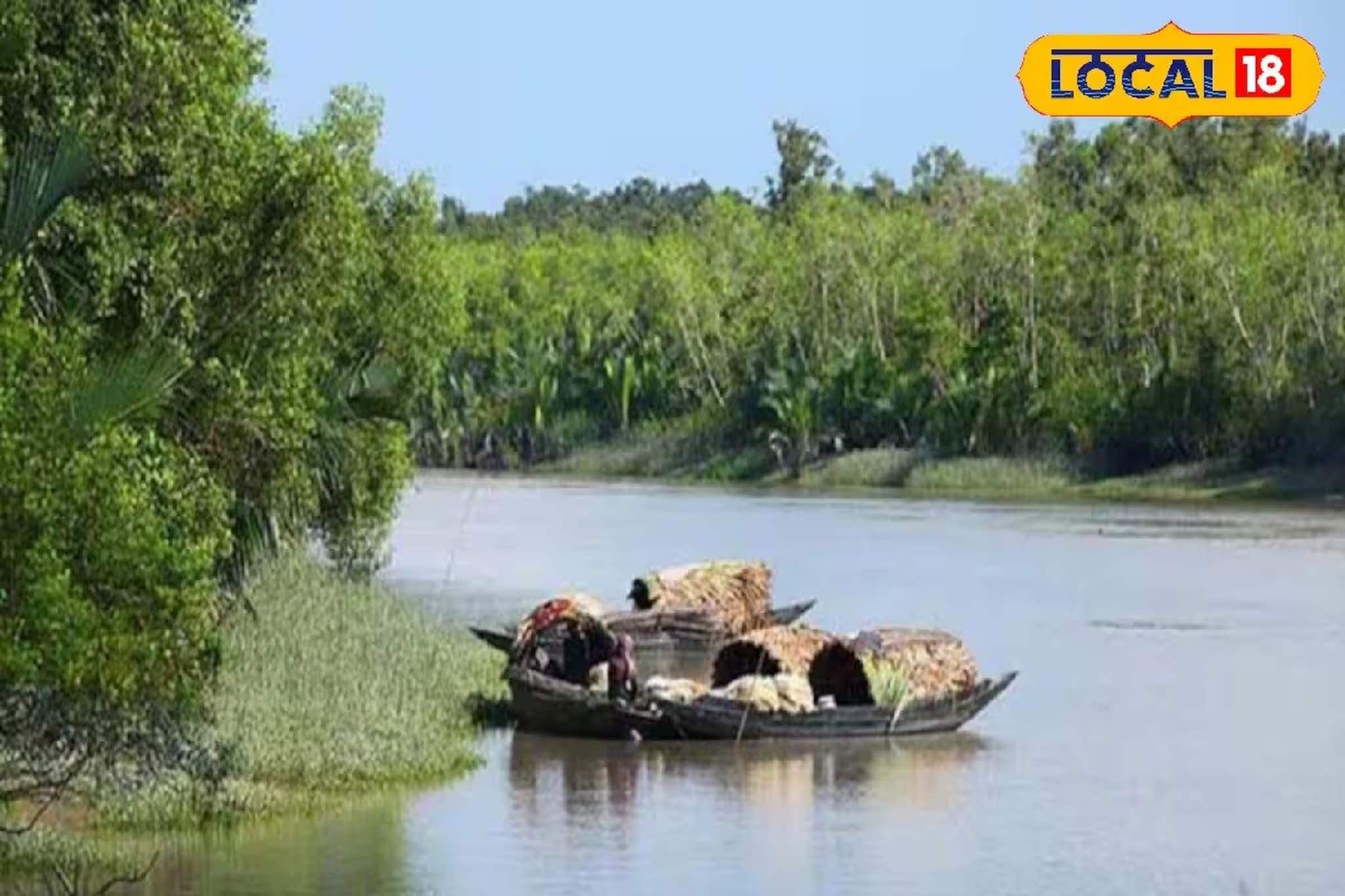 সুন্দরবনকে ব্র্যান্ড 'সুন্দরবন' বানাতে উদ্যোগী রাজ্য সরকার! পর্যটকদের জন্য বিশেষ আকর্ষণ সুন্দরবনকে ব্র্যান্ড 'সুন্দরবন' বানাতে উদ্যোগী রাজ্য সরকার! পর্যটকদের জন্য বিশেষ আকর্ষণ