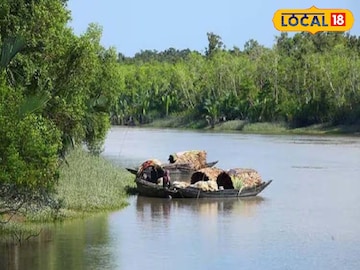 সুন্দরবন