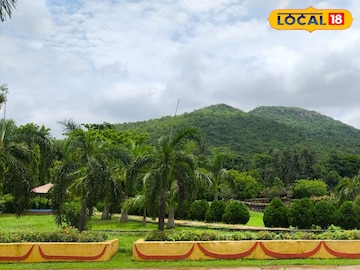 শুশুনিয়া