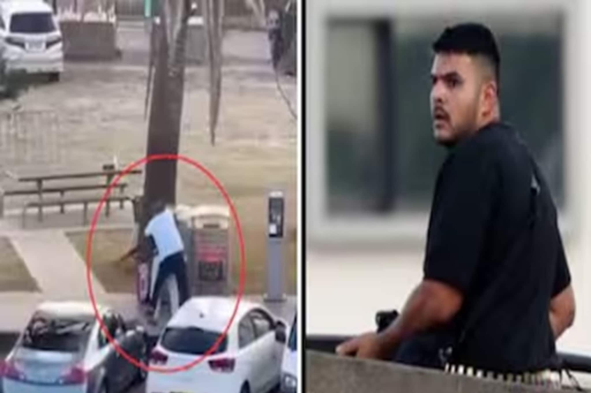 খালি হাতেই আততায়ীকে জাপ্টে ধরলেন, সিডনির মৃত্যু মিছিল থামালেন কে? দেখুন ভিডিও খালি হাতেই আততায়ীকে জাপ্টে ধরলেন, সিডনির মৃত্যু মিছিল থামালেন কে? দেখুন ভিডিও