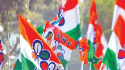 Trinamool MPs Defy Cold, Protest All Night Against Controversial Bill Passage